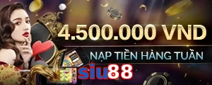 siu88